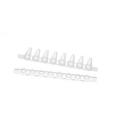 Eppendorf Fast PCR Tube Strips